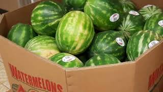 A trip to Aldi,Jonesboro rd McDonough GA.