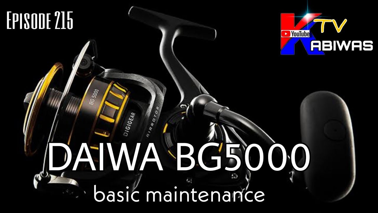 daiwa bg reel maintenance Mag sealed Spinning  Somers Fishing Tackle Daiwa BG MQ | Budget