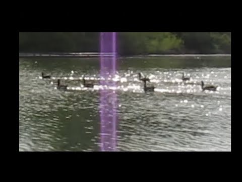 Lamp 雨降る夜の向こう Acoustic version | testing canon powershot sx200 IS