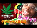 英語初心者が毎日3時間オンライン英会話やってみた【中編】【ネイティブキャンプ】