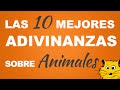 Las 10 mejores ADIVINANZAS de Animales