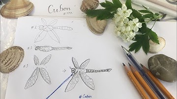 Hướng dẫn vẽ chuồn chuồn dễ dàng - The easiest dragonfly drawing tutorial #Cuben