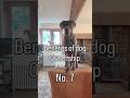 Benefits of dog ownership      No:7 No food waste    #greatdane #pets #dogs #doglife