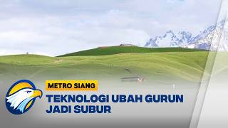 Xinjiang Panen Jerami Besar Besaran Untuk Penuhi Pakan 50 Juta Ternak [Metro Siang]