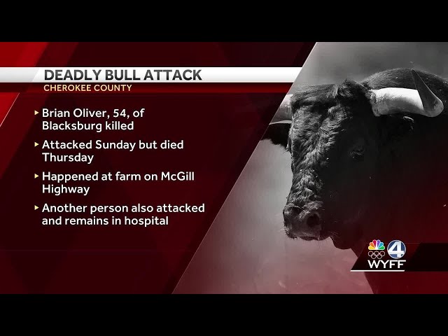 Upstate man killed in bull attack class=