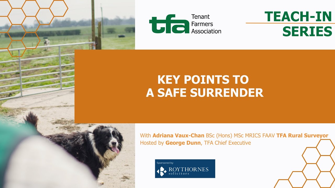 Safe Surrender of a Farm Tenancy: Key Legal & Practical Steps