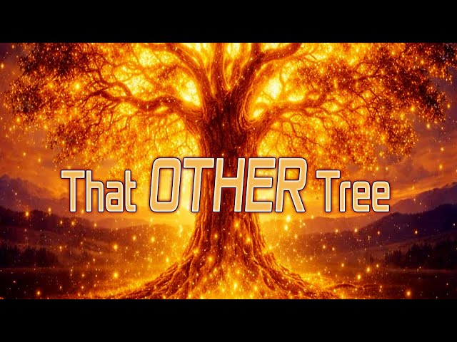 “THAT OTHER TREE”