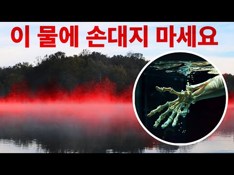 잔잔해 보이지만 어두운 비밀을 간직한 호수