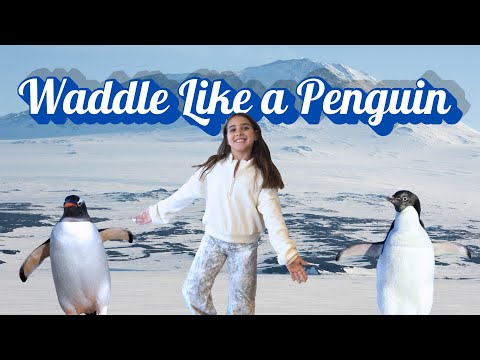 Waddle Like a Penguin | Brain Break for Kids