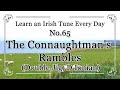 065 The Connaughtman's Rambles (Double Jig, D Ionian) Learn an Irish Tune Everyday.