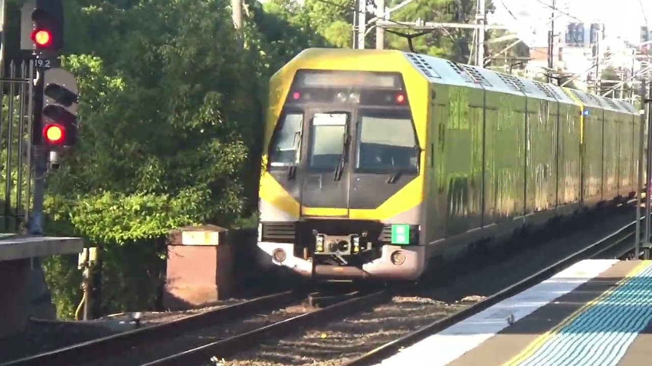 Trainspotting At Canley Vale During Afternoon Peak