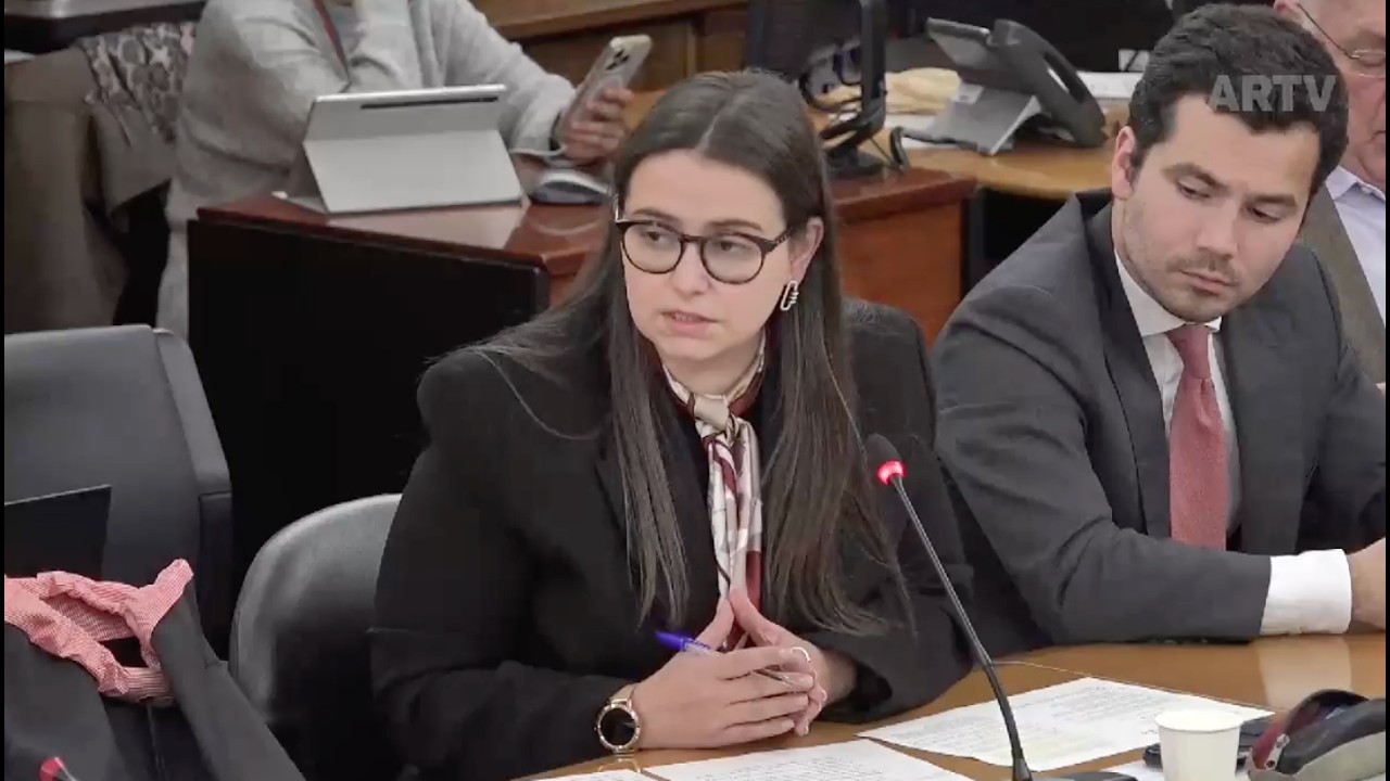 Intervenção de Carolina Marques na Comissão Parlamentar de Inquérito