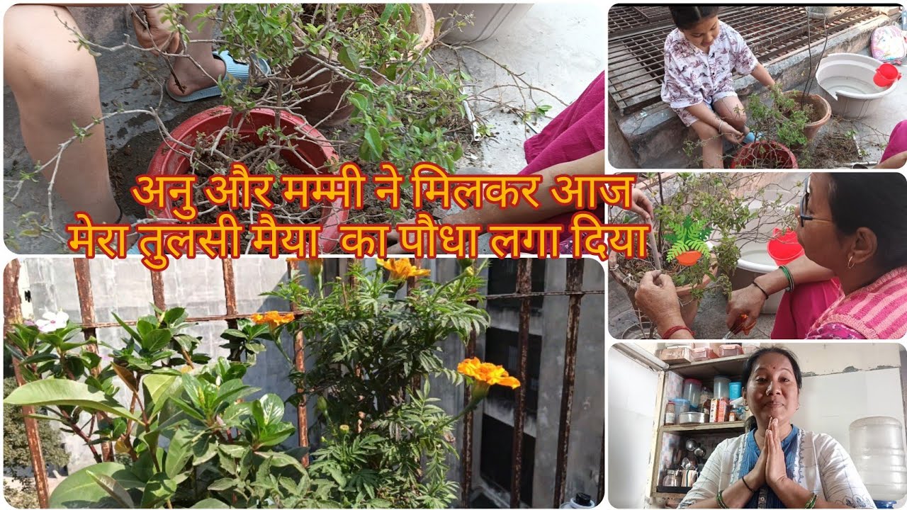 अनु और मम्मी ने मिलकर मेरा तुलसी मैया का पौधा लगा दिया🪴#myownworld #vlog #likesharesubscribe 