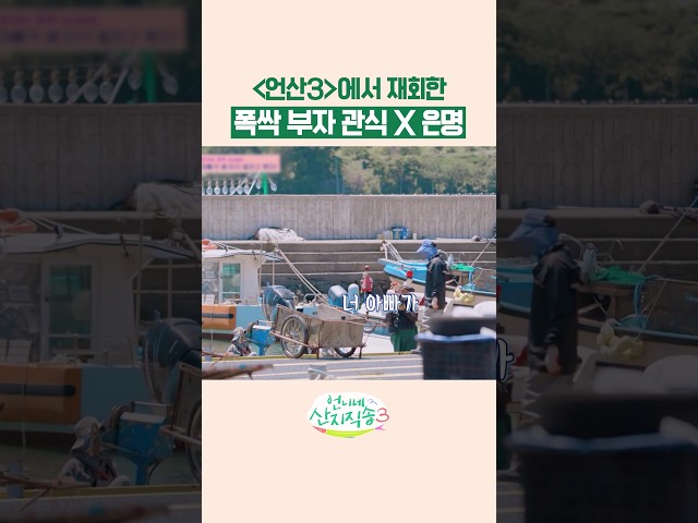 관식X은명 부자 영원해???? #언니네산지직송3