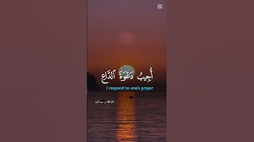 القرآن الكريم #اكسبلور #quran #راحة_نفسية #life #دويتو #design #حالات_واتس #لايك #duet #duetd