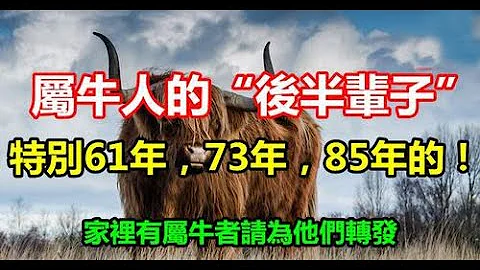 屬牛人的後半輩子，特別61年，73年，85年的！ 身邊有屬牛的嗎？【人生感悟】 - 天天要聞