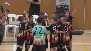 RESUM Sant Joan de Vilassar - FS Pallejà - Final Campionat Benjamí futbol sala.
