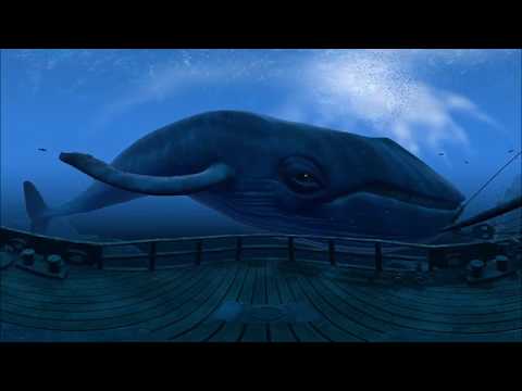 Большой синий кит 3D 360° 4K VR видео для очков виртуальной реальности 360 TB