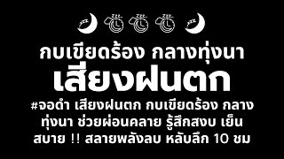 #จอดํา เสียงฝนตก กบเขียดร้อง กลางทุ่งนา ช่วยผ่อนคลาย รู้สึกสงบ เย็นสบาย !! สลายพลังลบ หลับลึก 10 ชม