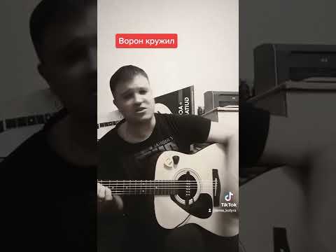 ворона исполнитель. березовец и чиж. черный ворон текст. песня ворон надо мной кружил. ворон старков.