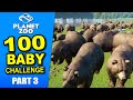 100 BABY CHALLENGE | Planet Zoo | Ep 3