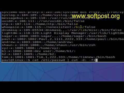 cut command example in BASH shell terminal