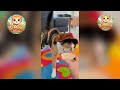 Video prank Kucing Paling Lucu di Internet 😂| funny