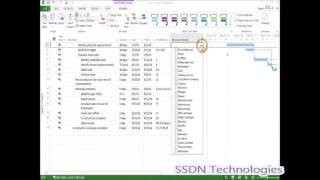 Training on Microsoft Project Professional 2013/2016