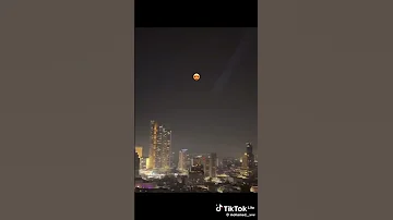 قالي نقعدلك فيدال ونديرو لحلال 