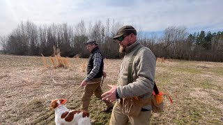 Dog Trial Training with Tucker | Backroads and Bird Dogs