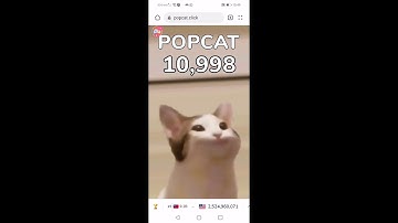 pop cat clicker speed run