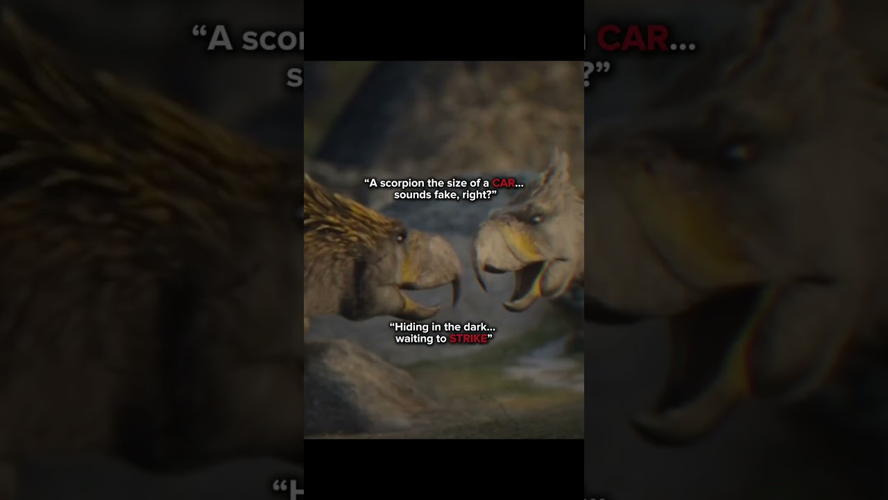 Imagine This Crawling Near You…😳