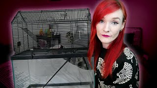 Bad Cage Review | You & Me Small Animal High Rise Tank Topper Review | Munchie's Place