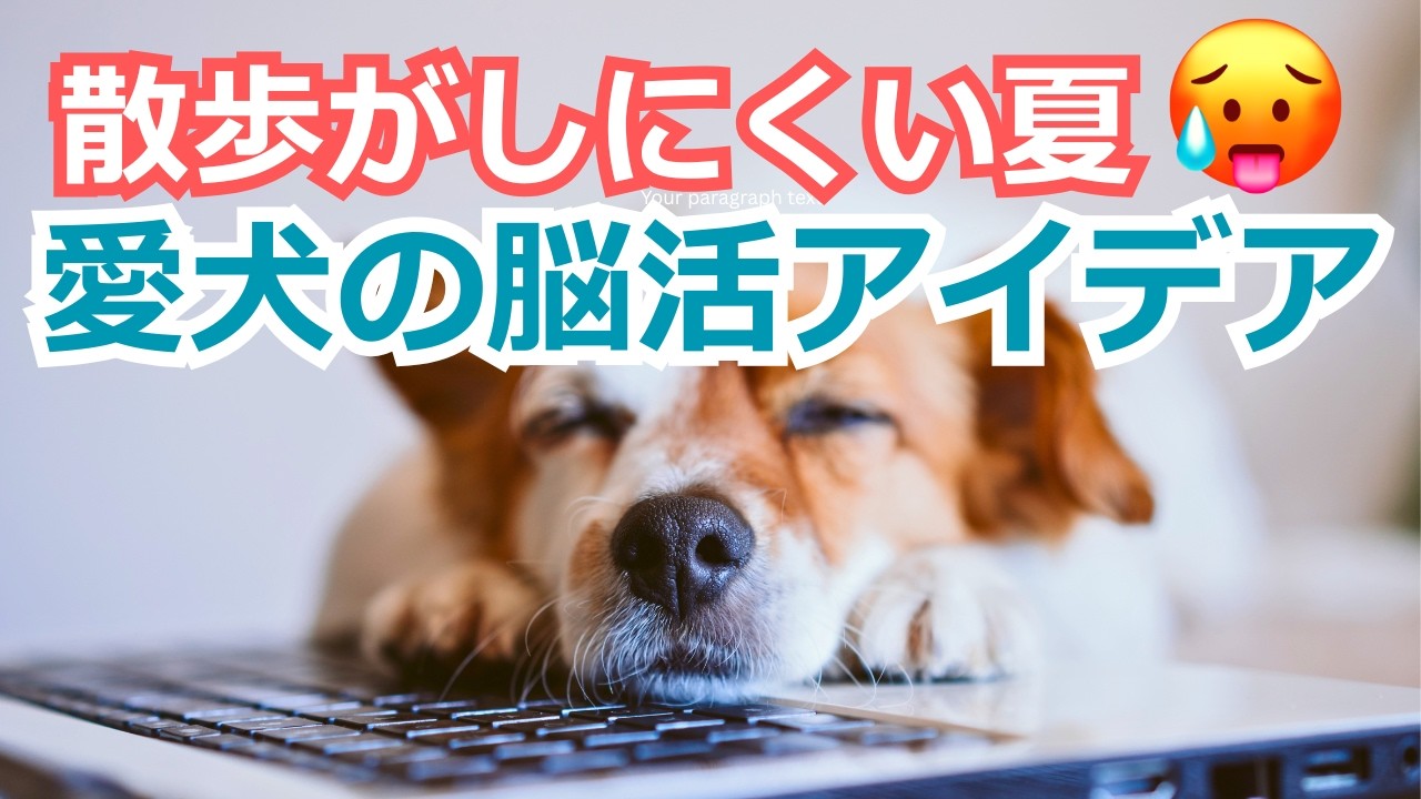 【散歩がしにくい夏💦】愛犬の脳活アイデア