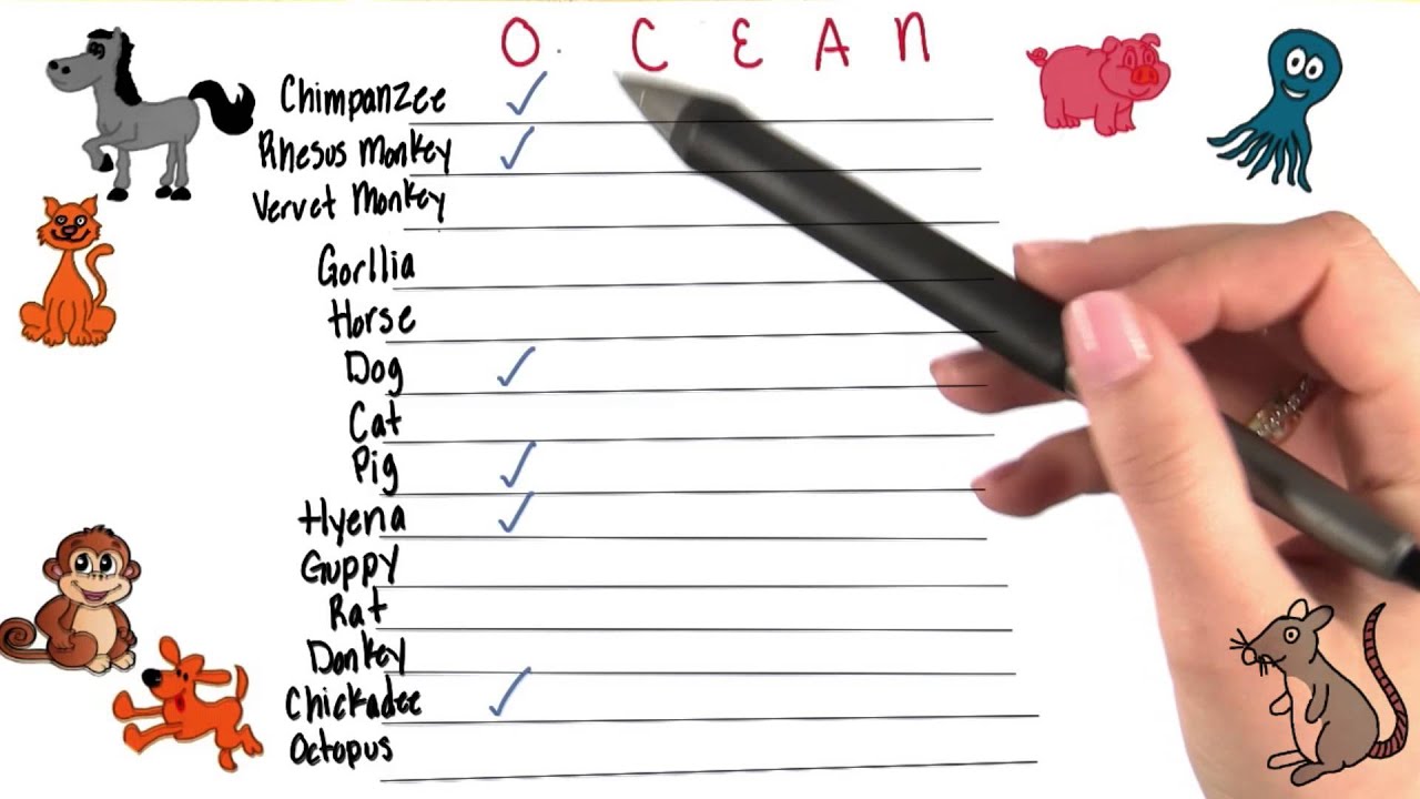 Research on animal personality Intro to Psychology YouTube