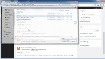 WordPress Music Seller Plugin Demo by shopfiles.com