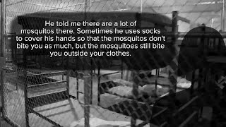 Wife of 'Alligator Alcatraz' detainee describes conditions inside