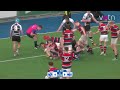 Cistercian College, Roscrea v Wesley | Bank of Ireland Leinster Schools Senior Cup