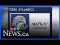 Edmonton Riverhawks baseball team unveils Indigenous logo