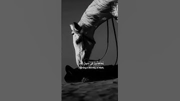 ذلك فضل الله يؤتيه من يشاء | القارئ سعيد دباح الجزائري #قرآن #قران #تلاوات #تلاوه #قرآن_كريم #توبة