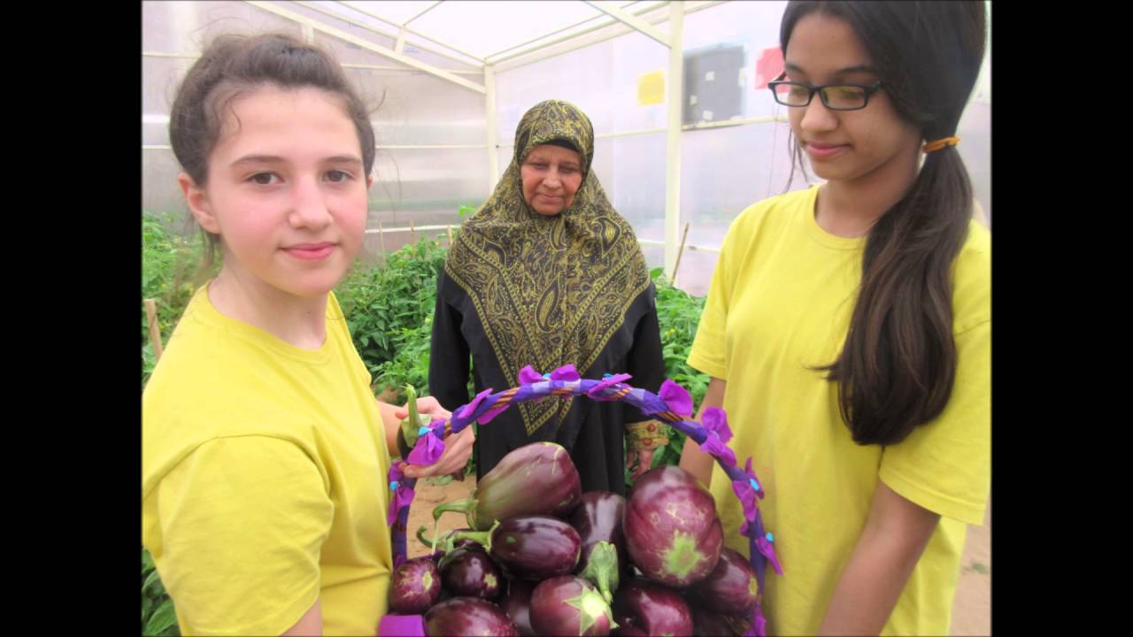 organic-farming-british-international-school-ajman-uae-youtube