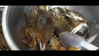 CLAMMING AND CRABBING AT LBI