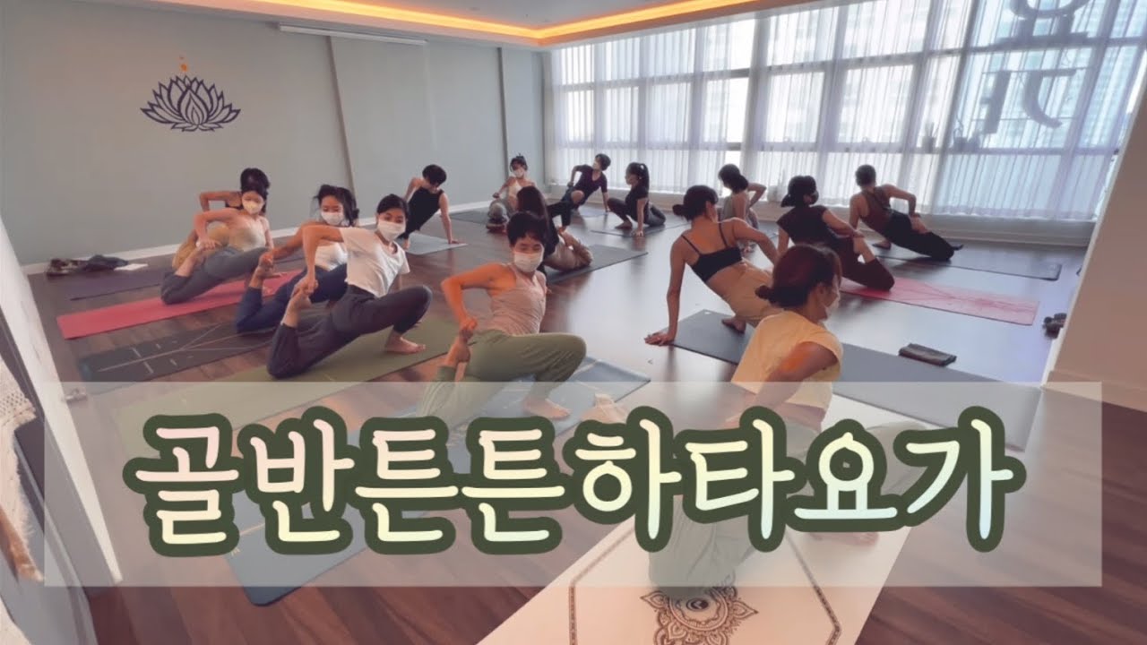 [엔젤요가] 좌골신경통과 다리의 결함을 치유해주는 비둘기시리즈 | 골반순환 | 골반교정 | 어깨통증완화 | 척추유연성 | home yoga | yoga at home