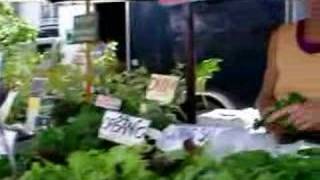 The Arcata Farmers Market