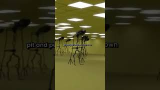 What If You Light A Backrooms Entity On Fire?