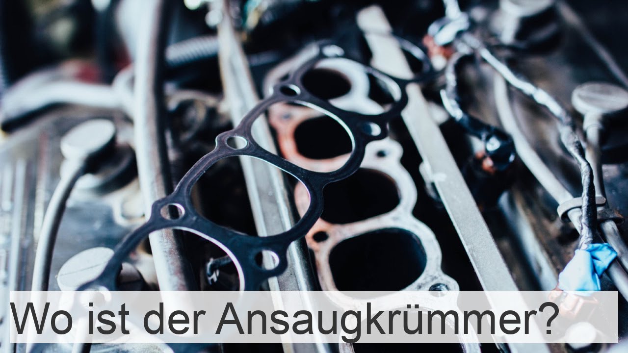 Dichtung Ansaugkrümmer 55577046 online kaufen