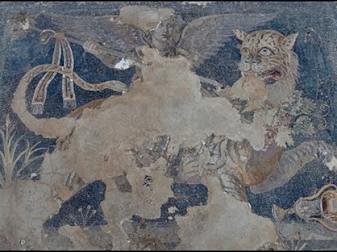 The Rapid Eye - YouTube