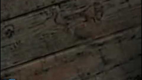 SMOD Killing a strider with a shovel jump+hit NOT on SLOWMO