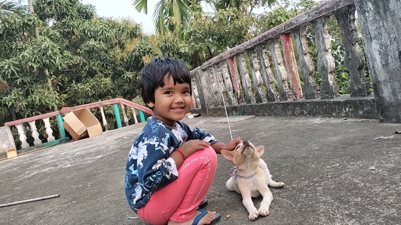 ama gharaku nua atithi asichhanti, ditya ra ta sa reaction kemiti dekhantu