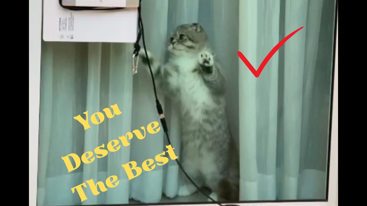 Maly Smart Cleaner — The Best Choice😂🥰